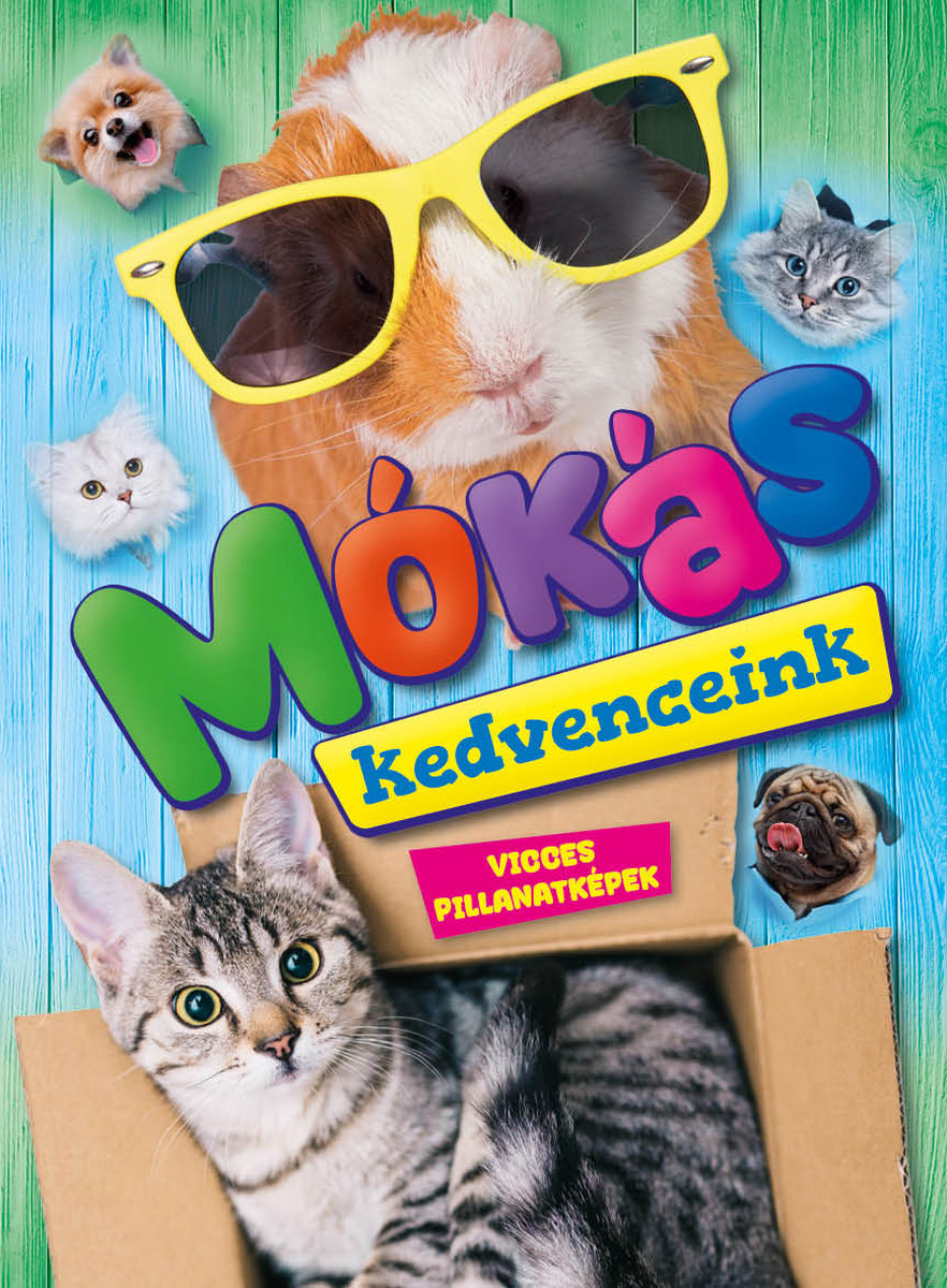 Mókás kedvenceink