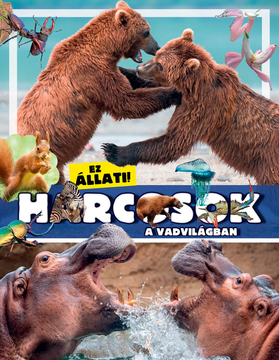 Ez állati! Harcosok a vadvilágban