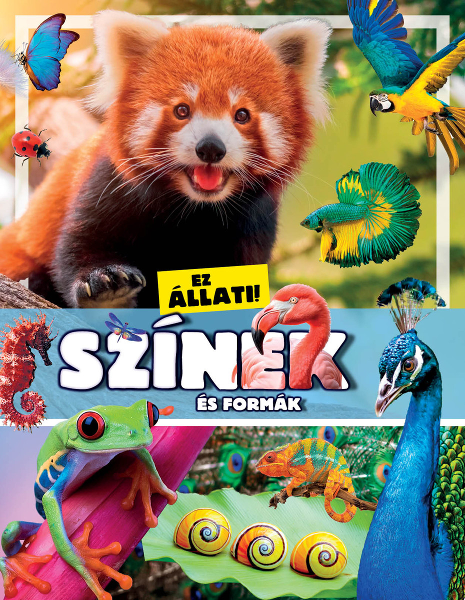 Ez állati! Színek és formák