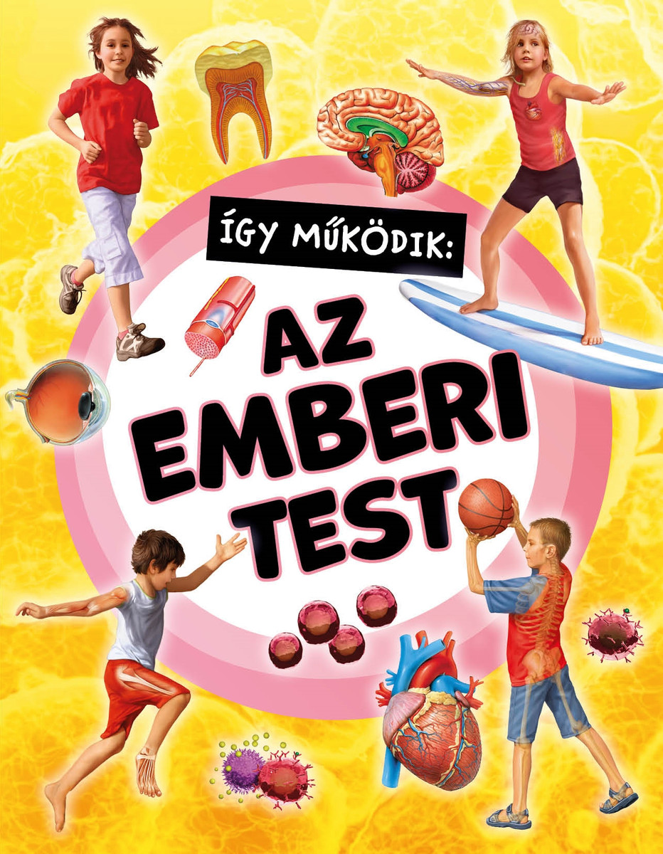 Így működik: Az emberi test